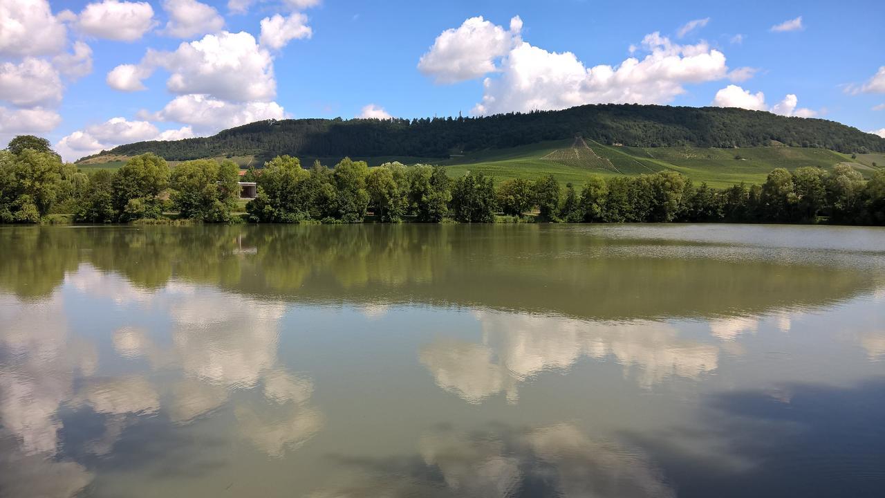 Das Kleine Hotel Iphofen, Fruehstueckszauber, No Waste, Nachhaltig, Nahe Aller Weingueter, Knauf Gips Kg Und Connekt, Kleines Secret Mit Garten & Terrassen, Tv Mirrorring, 55" Tv, Fine Dining, Hunde Willkommen Exteriér fotografie